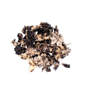 Musgo Preto & Branco